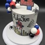 Spider Hero Celebration Cake