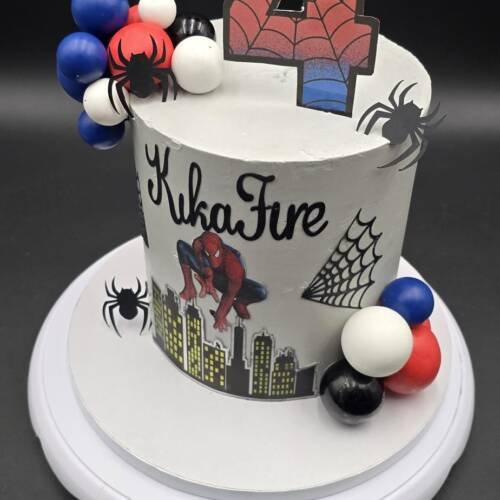 Spider Hero Celebration Cake